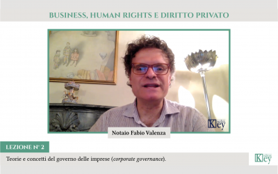 BUSINESS, HUMAN RIGHTS E DIRITTO PRIVATO Teorie e concetti del governo delle imprese (corporate governance)